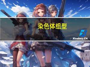 染色体组型