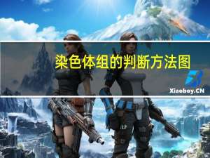 染色体组的判断方法图（染色体组）