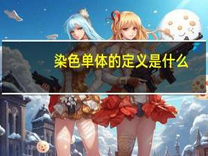 染色单体的定义是什么