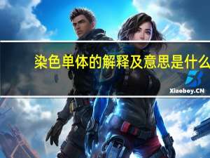 染色单体的解释及意思是什么