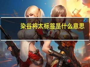 染谷将太标签是什么意思