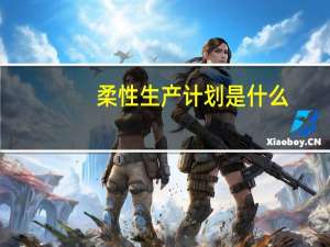柔性生产计划是什么