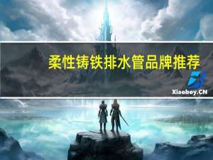 柔性铸铁排水管品牌推荐