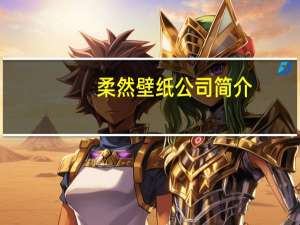 柔然壁纸公司简介（柔然壁纸怎么样）