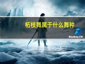 柘枝舞属于什么舞种