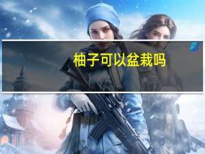 柚子可以盆栽吗