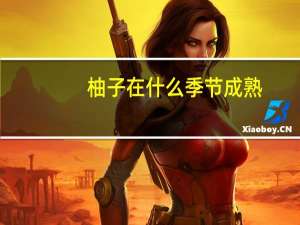 柚子在什么季节成熟