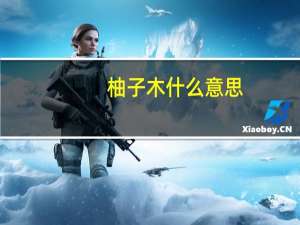 柚子木什么意思