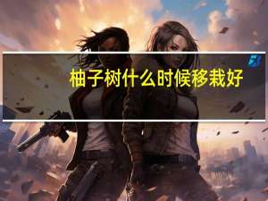 柚子树什么时候移栽好