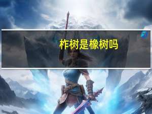柞树是橡树吗