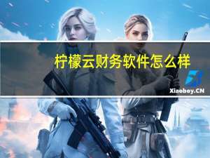 柠檬云财务软件怎么样