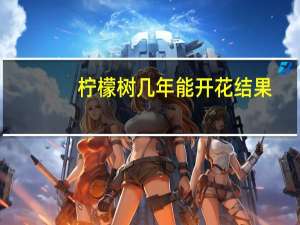 柠檬树几年能开花结果