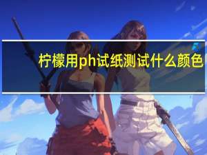 柠檬用ph试纸测试什么颜色