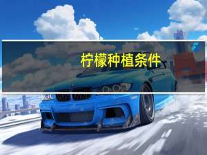 柠檬种植条件