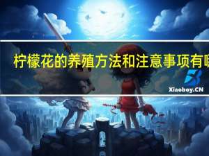 柠檬花的养殖方法和注意事项有哪些