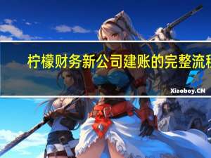 柠檬财务新公司建账的完整流程