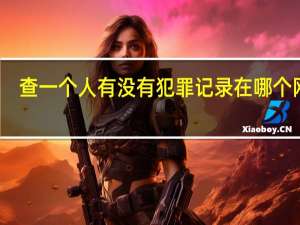 查一个人有没有犯罪记录在哪个网站（有没有跟句子迷类似的网站）
