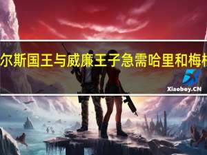 查尔斯国王与威廉王子急需哈里和梅根的支持