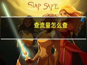 查流量怎么查（查流量）