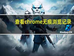 查看chrome无痕浏览记录