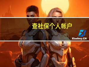 查社保个人帐户（网上查社保个人账户）