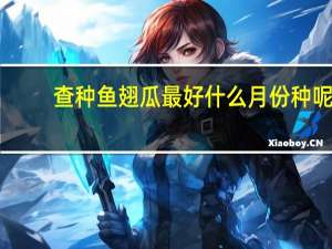 查种鱼翅瓜最好什么月份种呢