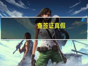 查签证真假(怎么查签证真假)