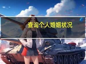 查询个人婚姻状况