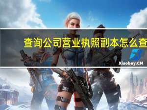查询公司营业执照副本怎么查