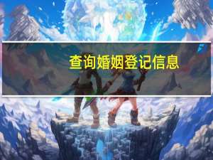 查询婚姻登记信息