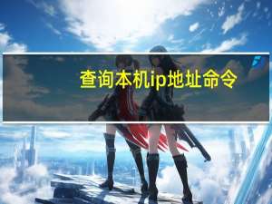 查询本机ip地址命令
