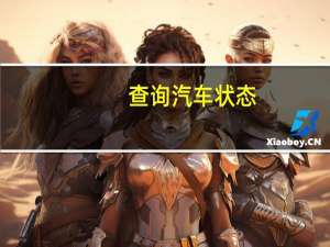 查询汽车状态