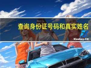 查询身份证号码和真实姓名（身份证号码组成）