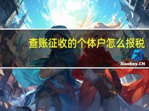查账征收的个体户怎么报税