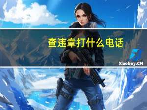 查违章打什么电话