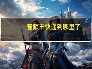 查顺丰快递到哪里了