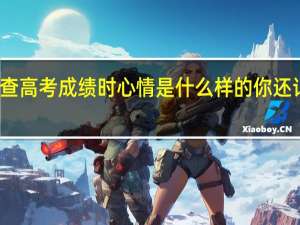 查高考成绩时心情是什么样的你还记得吗