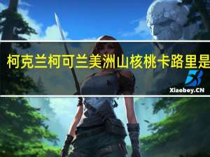 柯克兰 柯可兰 美洲山核桃卡路里是多少