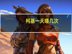 柯基一天喂几次