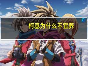 柯基为什么不宜养