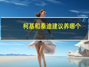 柯基和泰迪建议养哪个