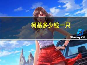 柯基多少钱一只