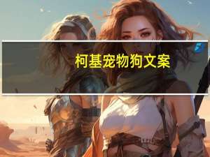 柯基宠物狗文案