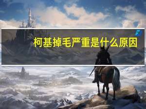 柯基掉毛严重是什么原因
