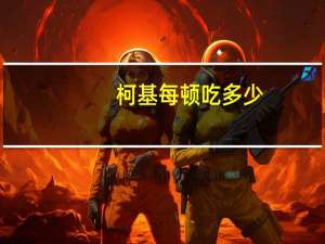 柯基每顿吃多少