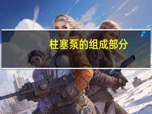 柱塞泵的组成部分