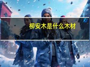 柳安木是什么木材