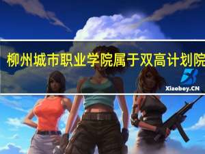 柳州城市职业学院属于双高计划院校吗