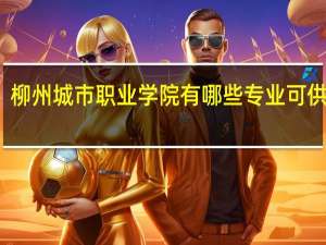 柳州城市职业学院有哪些专业可供选择