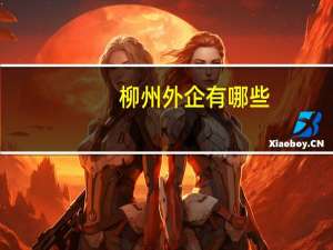 柳州外企有哪些